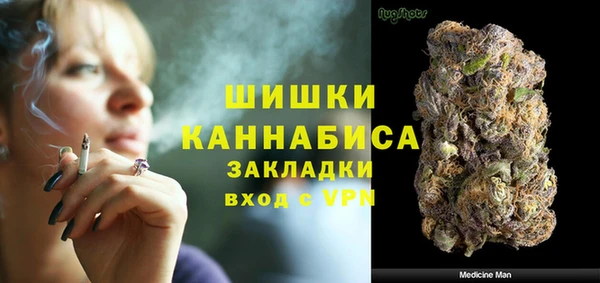 дживик Каменка