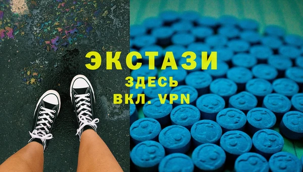 прущие грибы Каменногорск