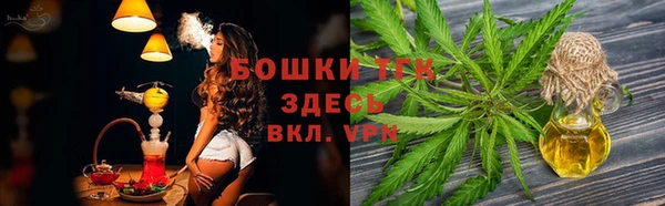 дживик Каменка