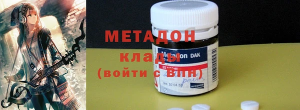 прущие грибы Каменногорск