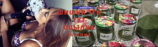 прущие грибы Каменногорск