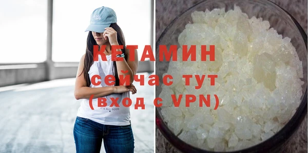 прущие грибы Каменногорск