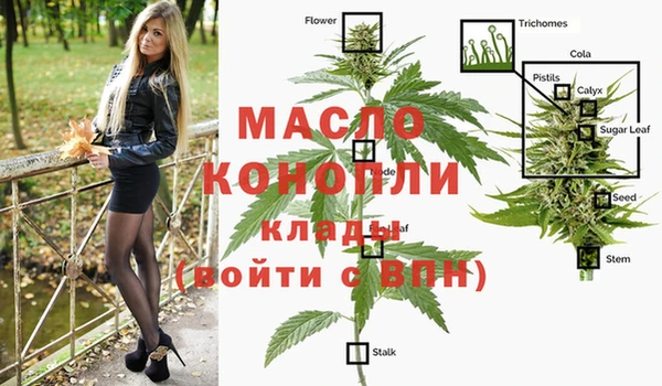 дживик Каменка