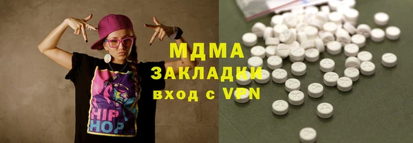 прущие грибы Каменногорск