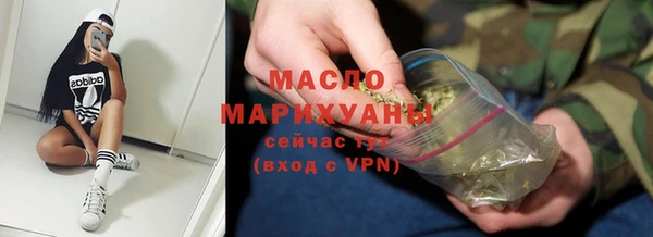 прущие грибы Каменногорск