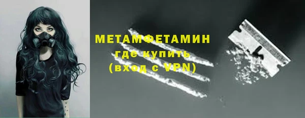прущие грибы Каменногорск