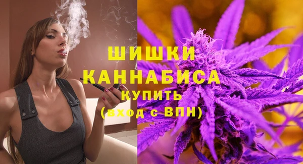 дживик Каменка