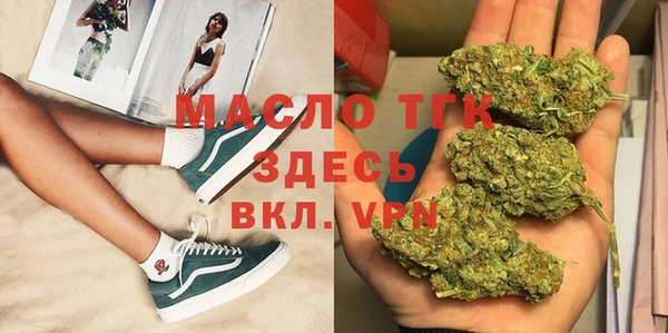 прущие грибы Каменногорск