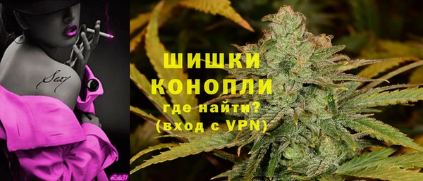 дживик Каменка