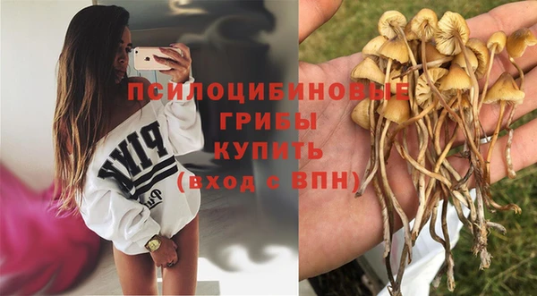 первитин Каменск-Шахтинский
