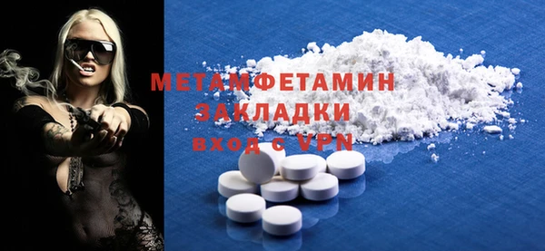 прущие грибы Каменногорск