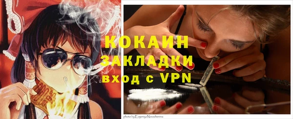 дживик Каменка