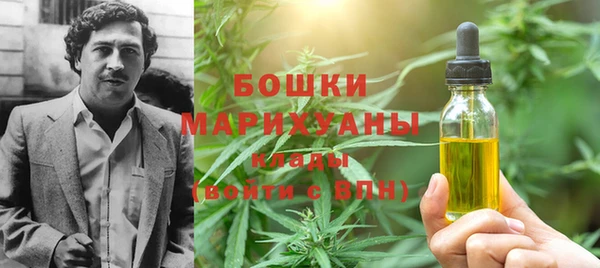 прущие грибы Каменногорск