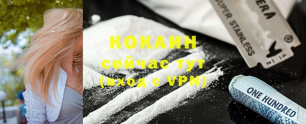 прущие грибы Каменногорск