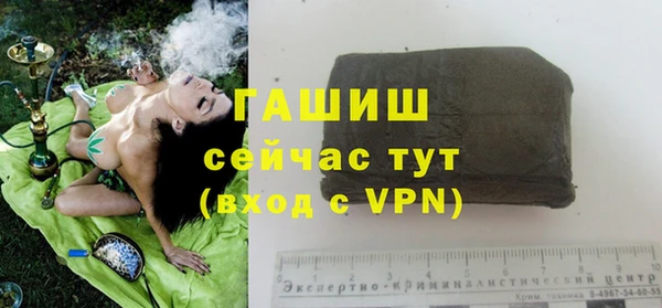 прущие грибы Каменногорск