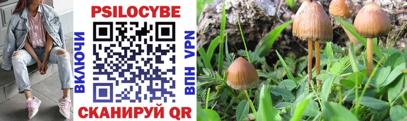 Галлюциногенные грибы мухоморы  Купить где  Алушта 
